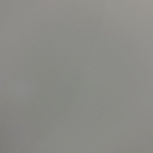 Стекло окрашенное DECO Сатин Светло-серое 09  мат. 2550х1605х4 мм