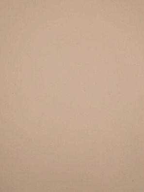 Lamicolor 1106/ Shiky Светло-кремовый 3050х1300х0,7мм