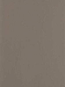 Lamicolor 1038 Серый муссон plamky terrae  3050х1300х0,7мм  EXPRESS