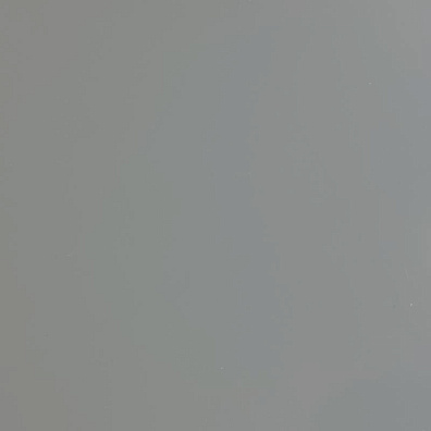 Стекло окрашенное DECO Монолак Светло-серое 09 глянец 2550х1605х4 мм