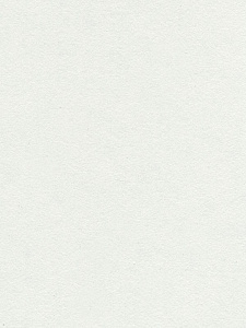 Lamicolor 204/ Shiky Белый 3050х1300х0,7мм