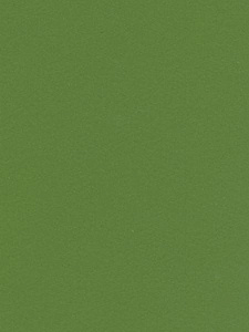 Lamicolor 1046/L Зеленая трава гл. 3050х1300х0,7мм (A)