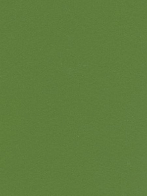 Lamicolor 1046/L Зеленая трава гл. 3050х1300х0,7мм (A)