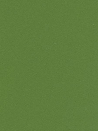 Lamicolor 1046/L Зеленая трава гл. 3050х1300х0,7мм (A)