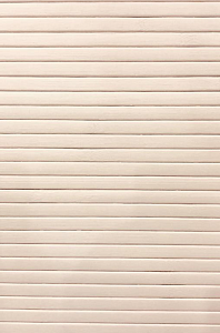 Бамбуковая панель DECO Abs 017 Белый арктик 2800х900х10 мм